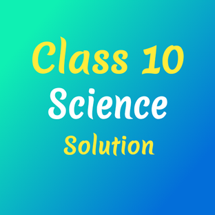 CLASS 10 NCERT CHAPTER 16 SOLUTION